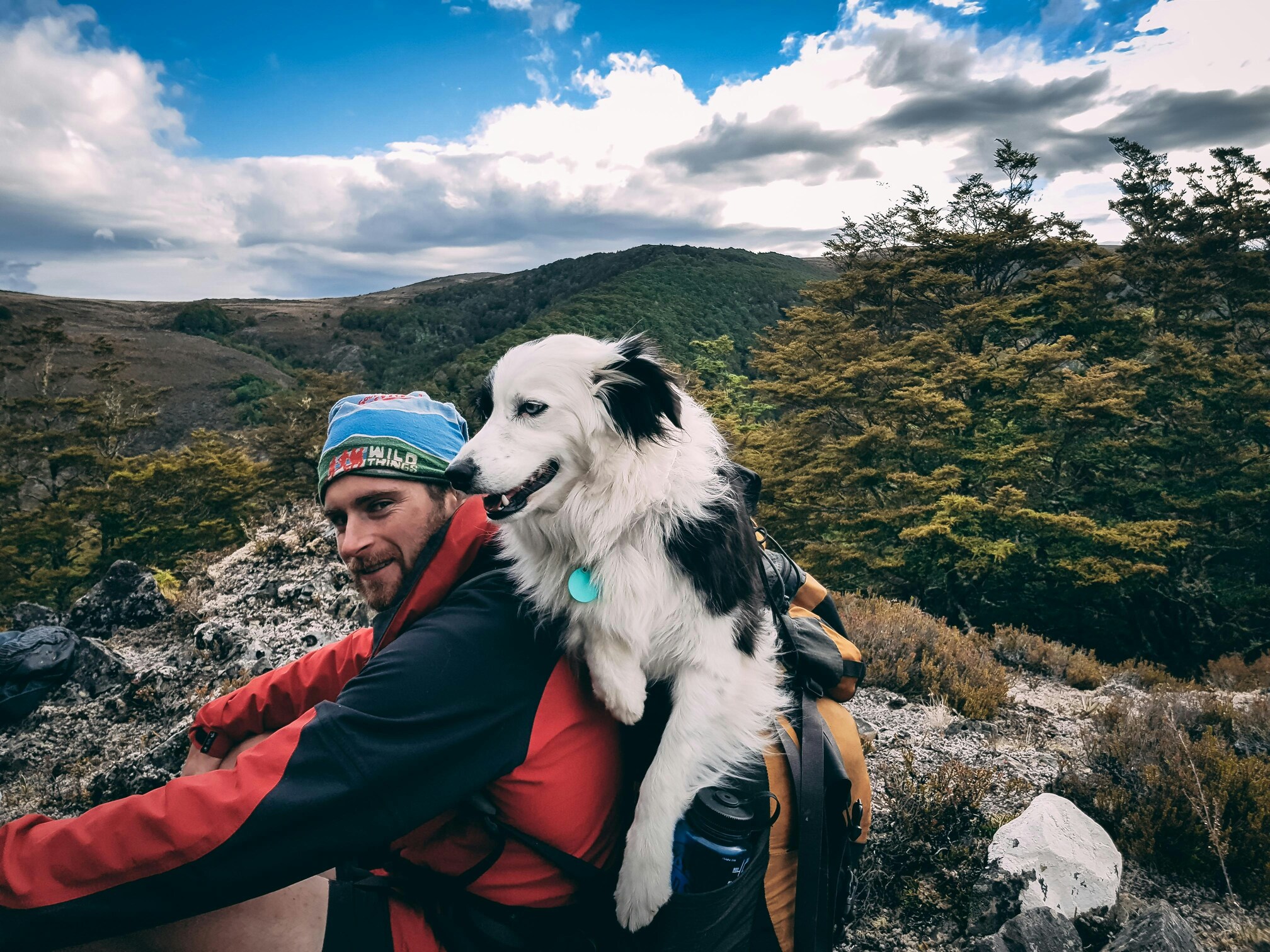 Viajar con tu mascota