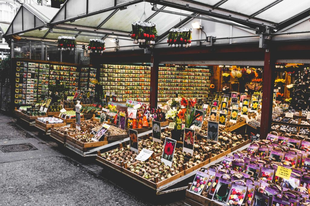 The perfect itinerary for 3 days in Amsterdam markets